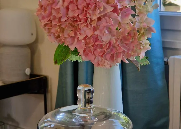 Bed & Breakfast Fresquet